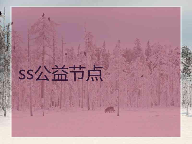 ss公益节点