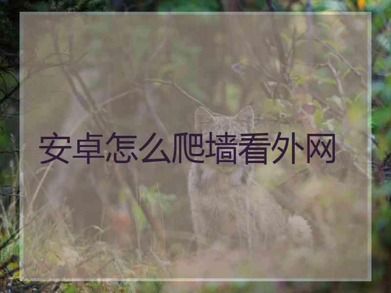 安卓怎么爬墙看外网