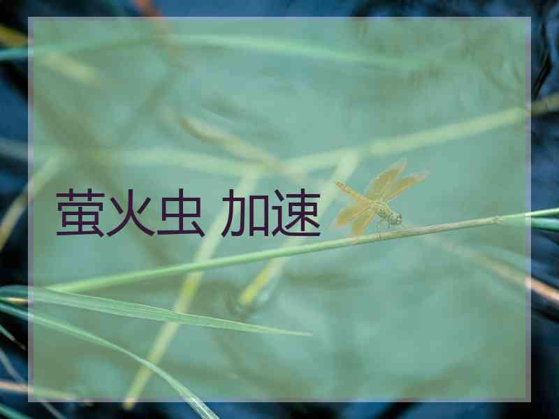 萤火虫 加速