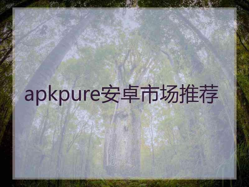 apkpure安卓市场推荐