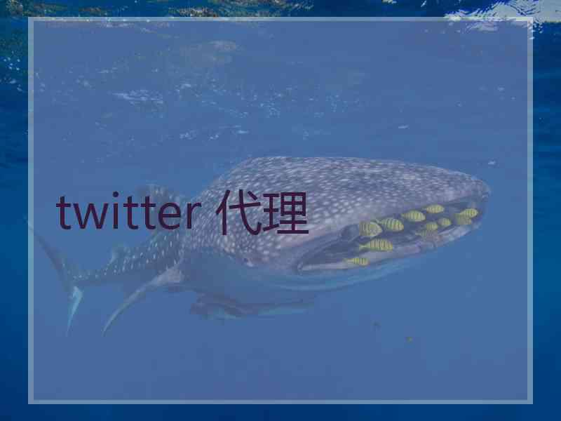 twitter 代理